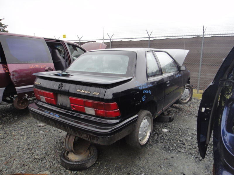 Another Turbo with a manual